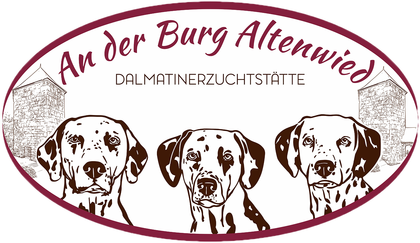 Dalmatiner an der Burg Altenwied